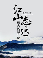 江山志远：杨志远飙升记