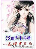 冷血杀手穿越:一品腹黑皇后