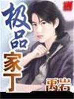 极品家丁