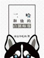 二哈和他的白猫师尊（皓衣行）